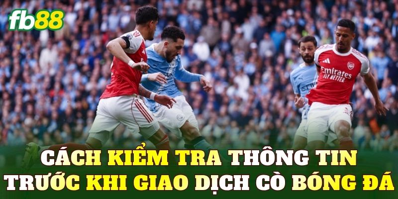 Cách kiểm tra thông tin trước khi giao dịch cò bóng đá