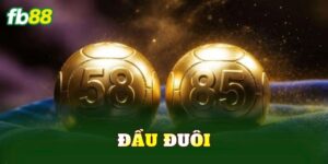 Đầu Đuôi