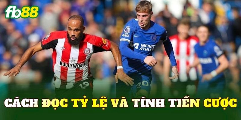 Cách đọc tỷ lệ và tính tiền cược