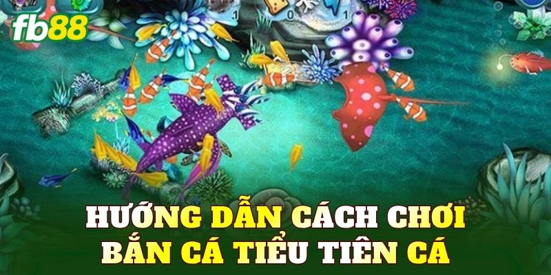 Hướng dẫn cách chơi bắn cá Tiểu Tiên Cá